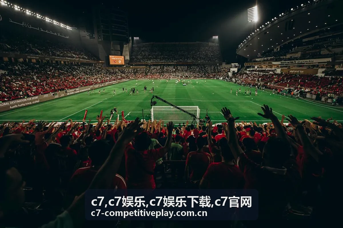 c7娱乐下载说明封面