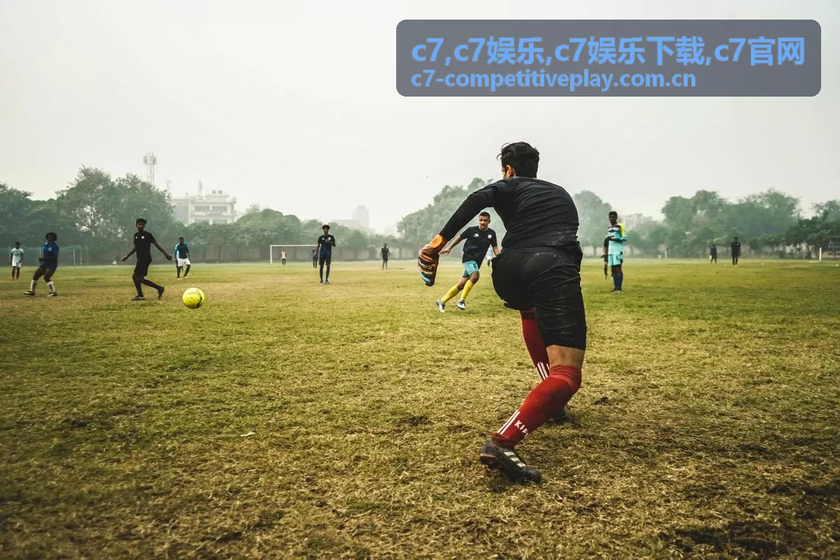 c7娱乐服务指南内容封面